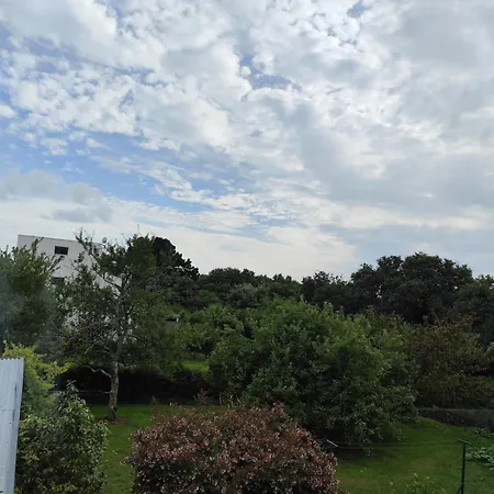 House 6 People With Jacuzzi St Marc Sur 44